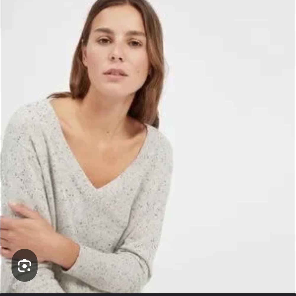 Everlane Women's Speckled Gray V-Neck Sweater
